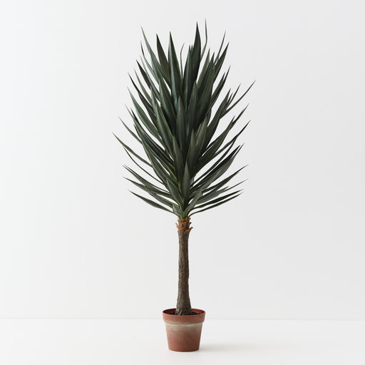 Yucca Plant Green 153cm