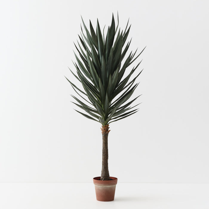 Yucca Plant Green 153cm