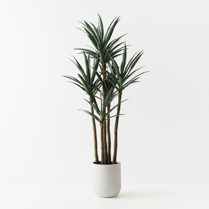 Yucca Plant Green 183cm