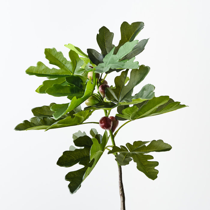 Fig Leaf Spray Green 90cm Pack of 6