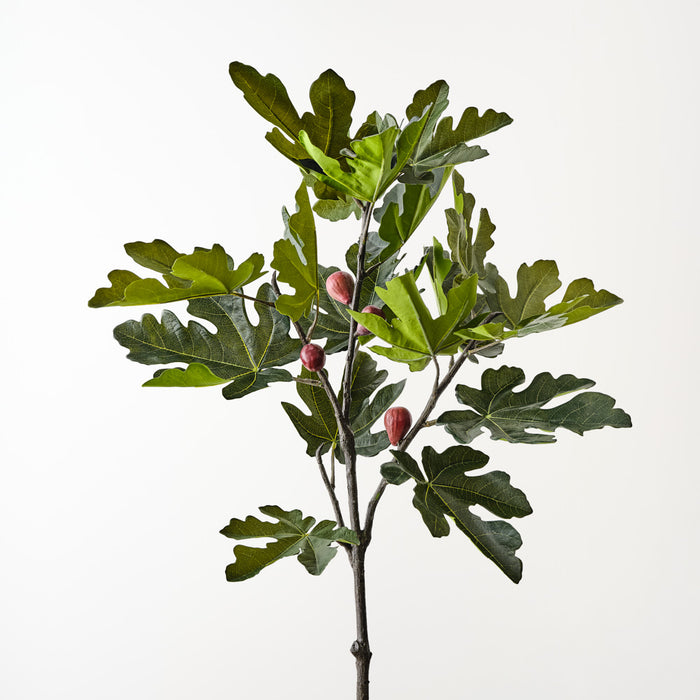 Fig Leaf Spray Green 130cm Pack of 2