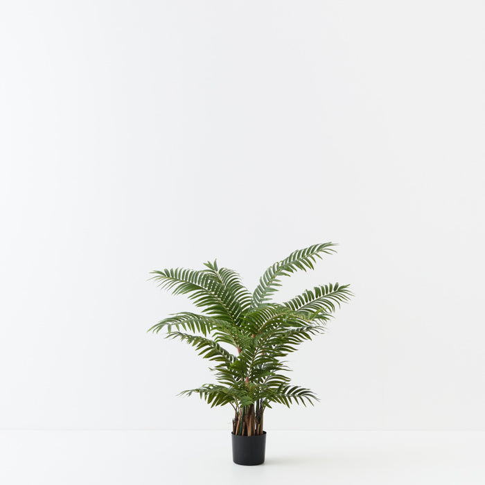 Palm Areca Green 90cm Pack of 2