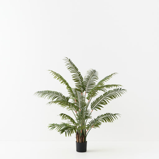 Palm Areca Green 120cm Pack of 2
