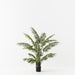 Palm Areca Green 120cm Pack of 2