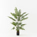 Palm Areca Green 150cm