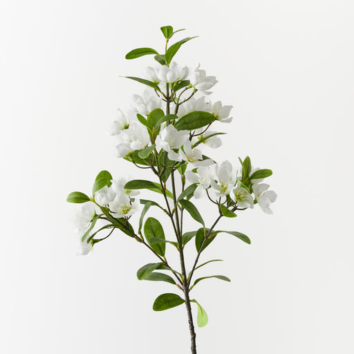 Blossom Peach White 71cm Pack of 12