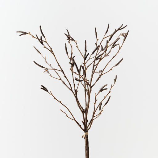 Birch Berry Bundle Brown 56cm Pack of 12