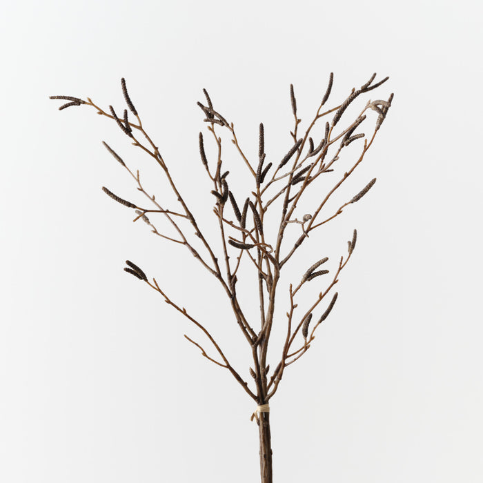 Birch Berry Bundle Brown 56cm Pack of 12