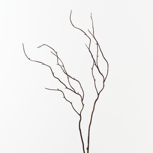 Twig Curly Spray Brown 92cm Pack of 24