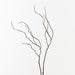 Twig Curly Spray Brown 92cm Pack of 24