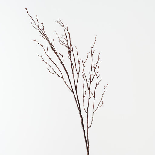 Twig Cottonwood Spray Brown Wash 99cm Pack of 12