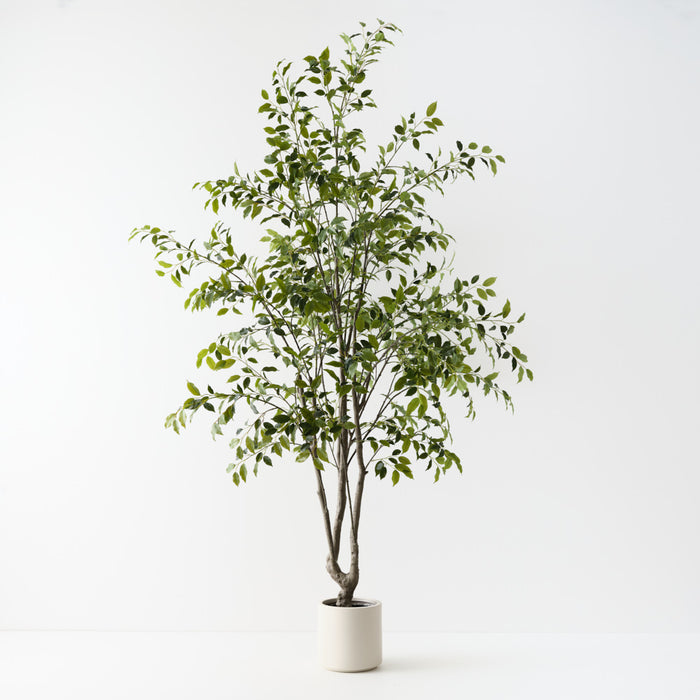 Ficus Tree Green 270cm