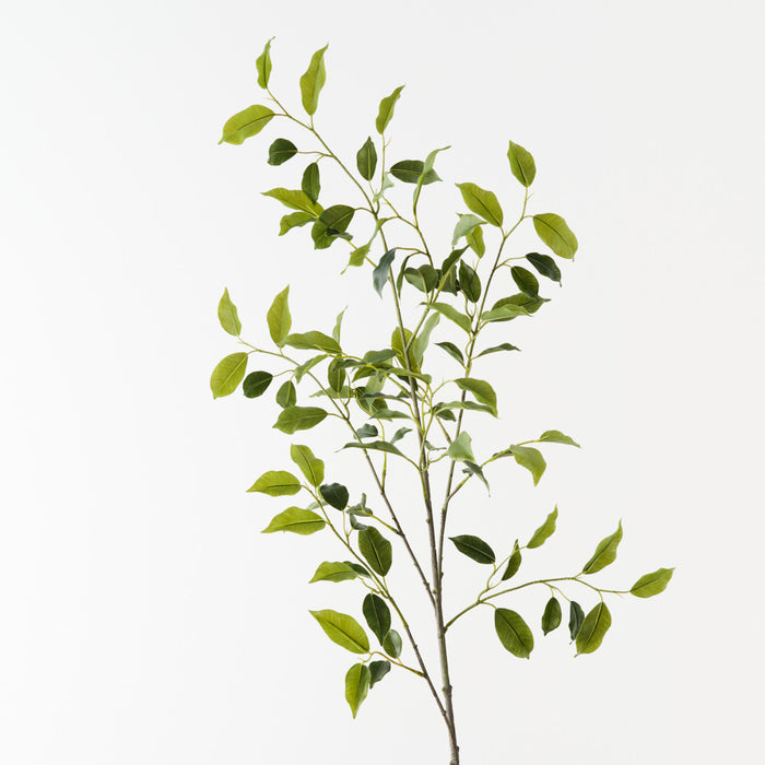 Ficus Leaf Spray Green 120cm Pack of 12
