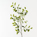 Ficus Leaf Spray Green 120cm Pack of 12