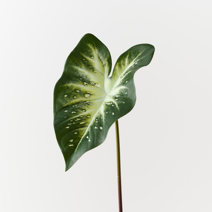 Calla Lily Leaf Dark Green White 53cm Pack of 12