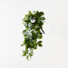 Ivy Hanging Bush Green 57cm Pack of 6
