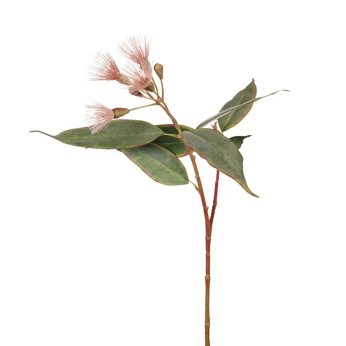 Eucalyptus Flowering Pink 53cm - Pack of 12