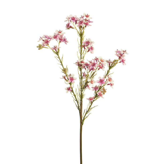 Wax Flower Pink 57cm - Pack of 12