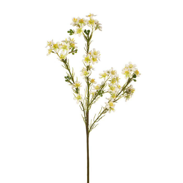 Wax Flower White Green 57cm - Pack of 12