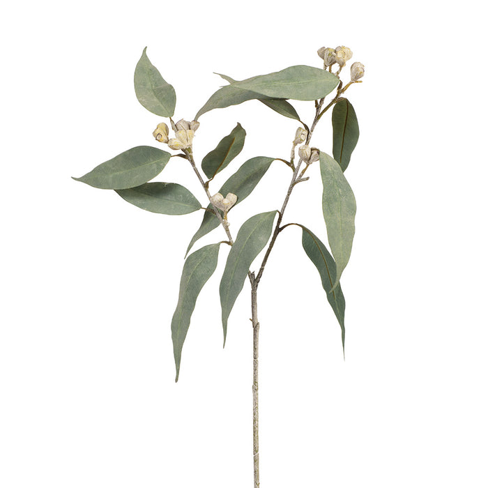 Eucalyptus Tetragona Spray Grey 64cm - Pack of 12