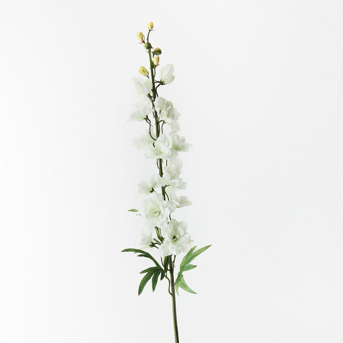 Delphinium White Green 90cm - Pack of 12