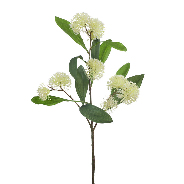 Sweet Gum Blossom Cream 71cm - Pack of 12