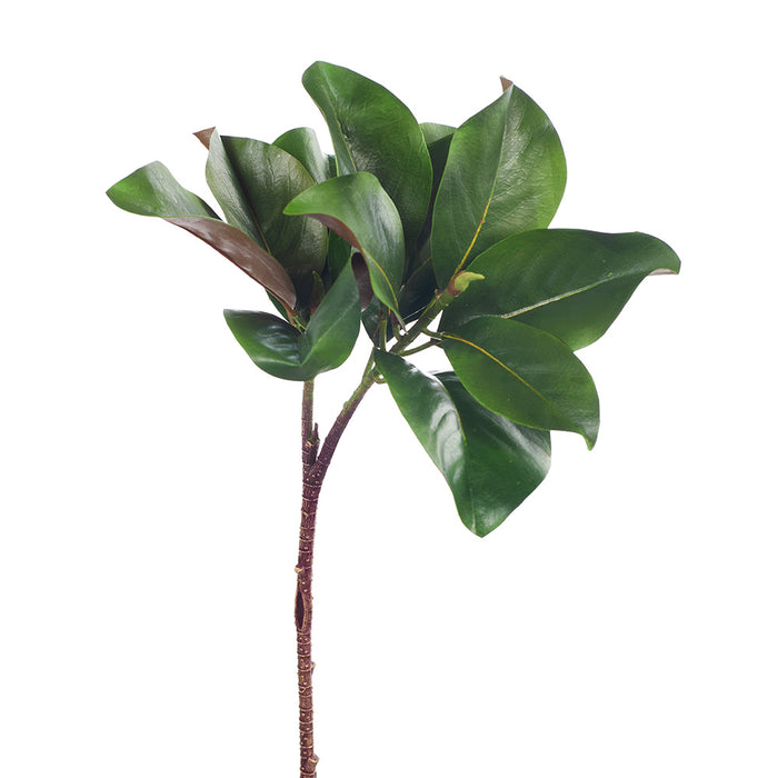 Magnolia Leaf Spray Green 83cm - Pack of 12