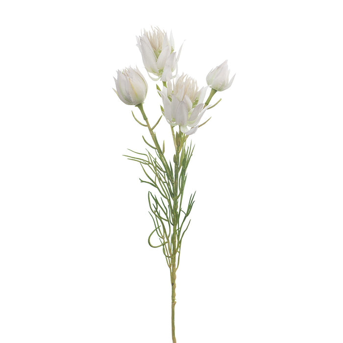 Blushing Bride Spray White 53cm - Pack of 12