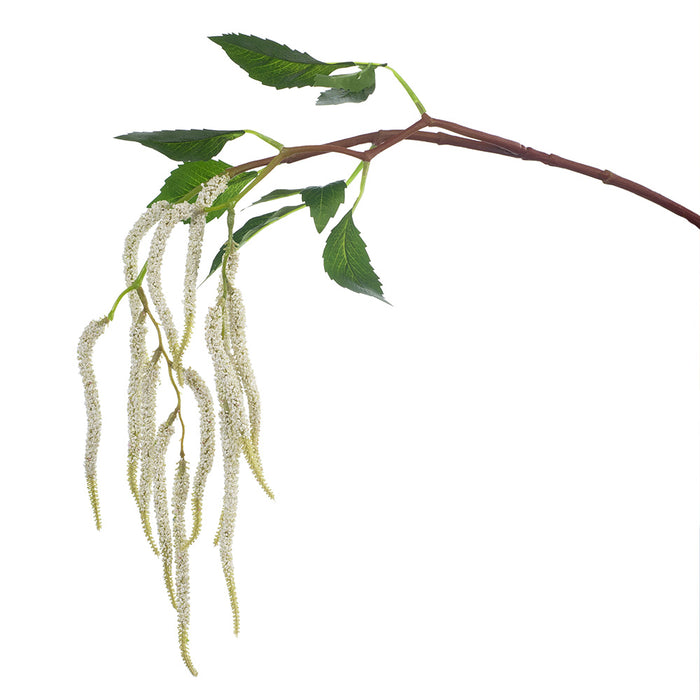 Amaranthus Spray White 88cm - Pack of 12