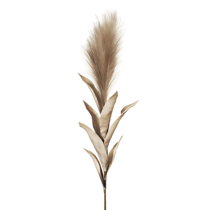 Pampas Grass w/Leaf Coffee 113cm - Pack of 12