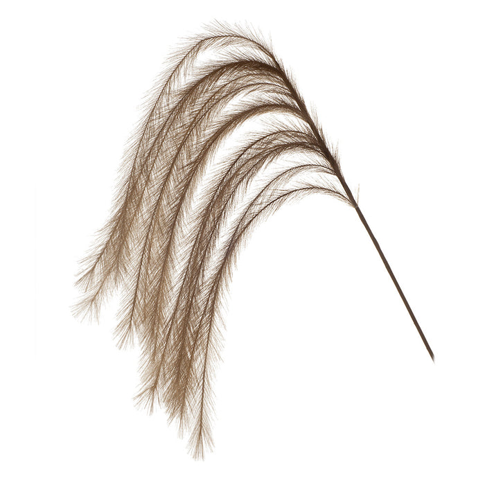 Pampas Grass Hanging Brown 126cm - Pack of 12
