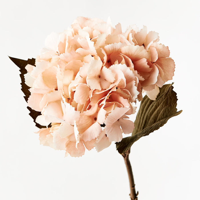 Hydrangea Peach 43cm - Pack of 12