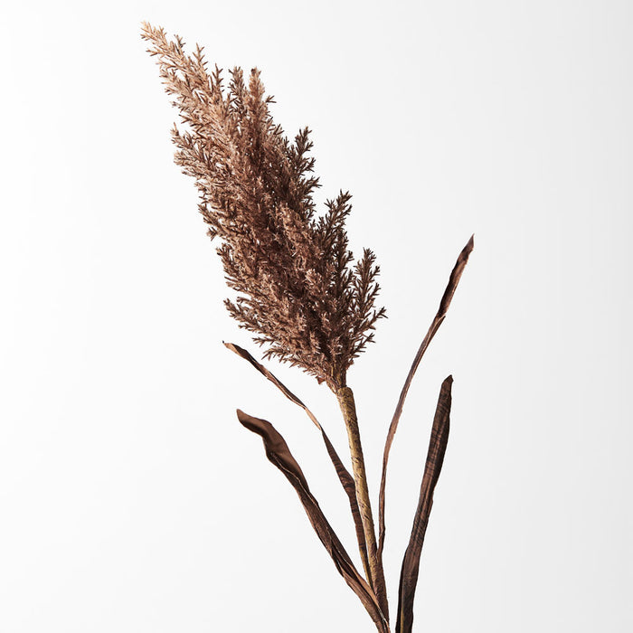 Plume Grass w/leaf Chocolate Brown 83cm - Pack of 12