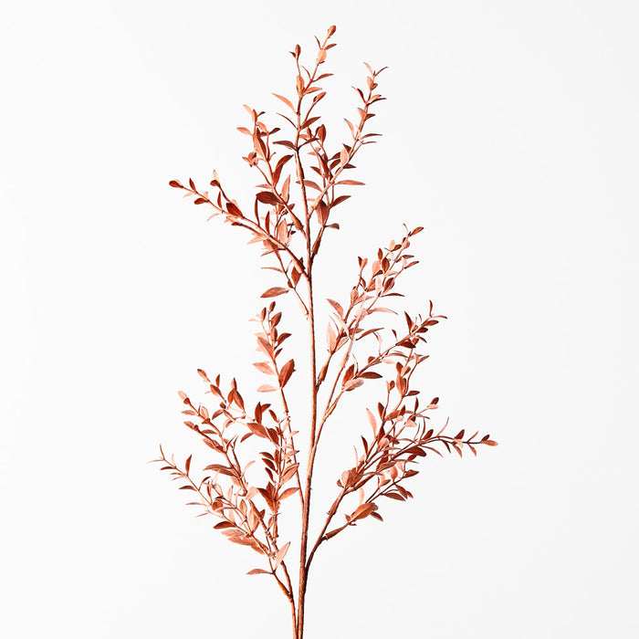 Ruscus Spray Coral 73cm - Pack of 12