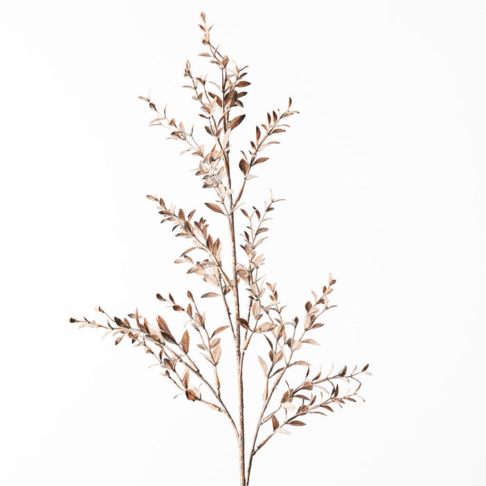 Ruscus Spray Husk 73cm - Pack of 12