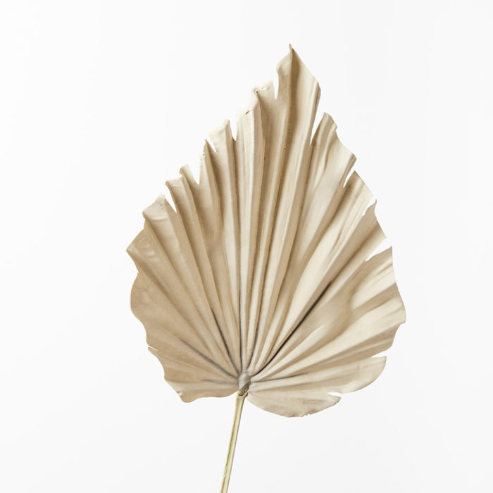 Palm Fan Spear Natural 56cm - Pack of 12