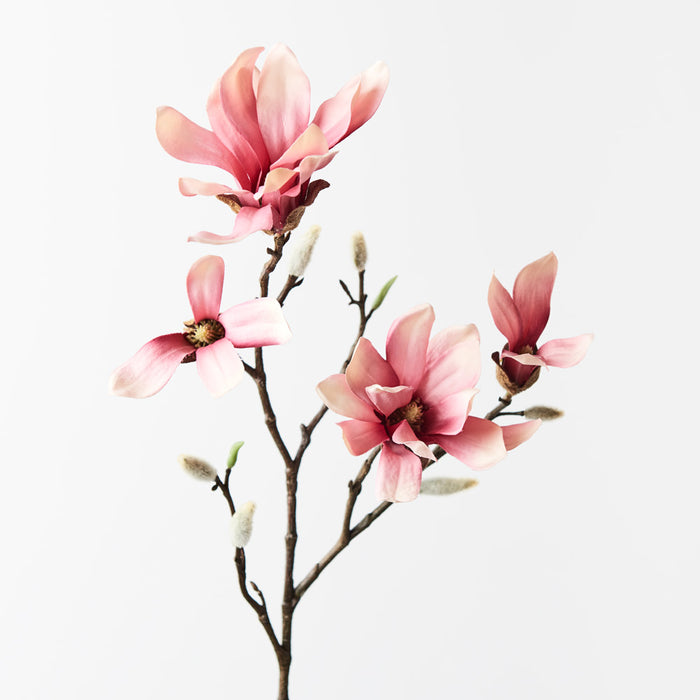 Magnolia Japanese Spray Pink 55cm - Pack of 12