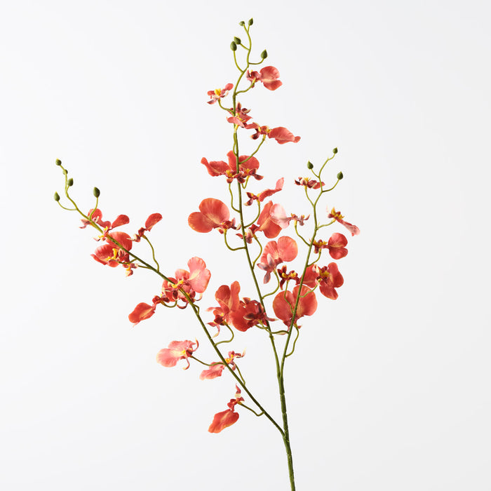 Orchid Dancing Burnt Orange 98cm Pack of 12