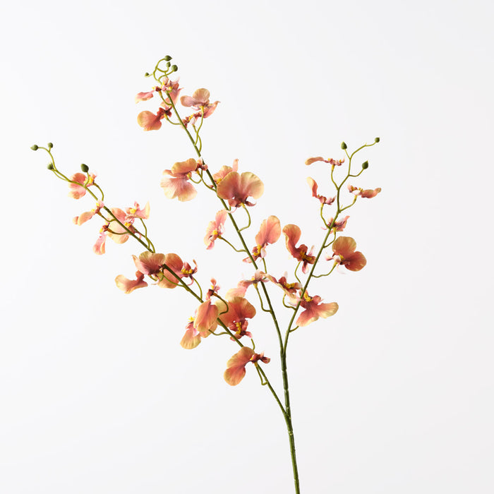 Orchid Dancing Mustard Green 98cm Pack of 12