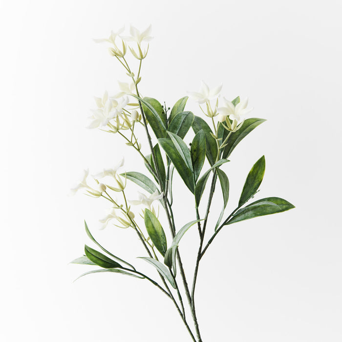 Stephanotis Spray White 60cm - Pack of 12