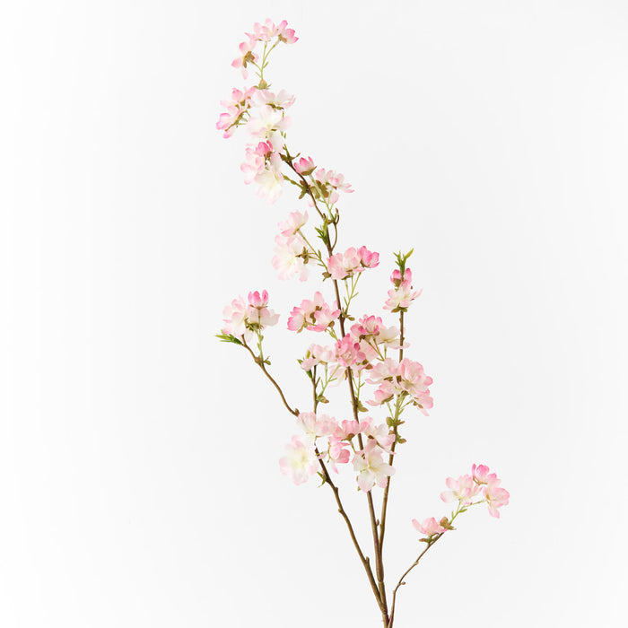Blossom Cherry Cream Pink 99cm Set of 12
