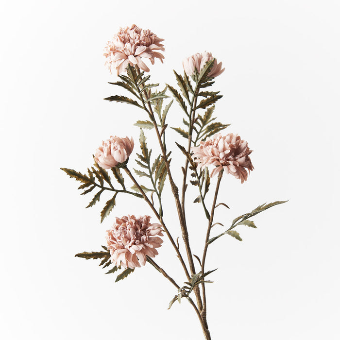 Chrysanthemum Celeste Spray Dusty Pink 61cm Pack of 12