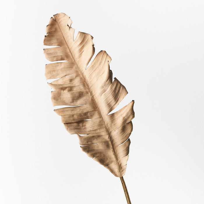 Palm Leaf Cream Brown 89cm - Pack of 12