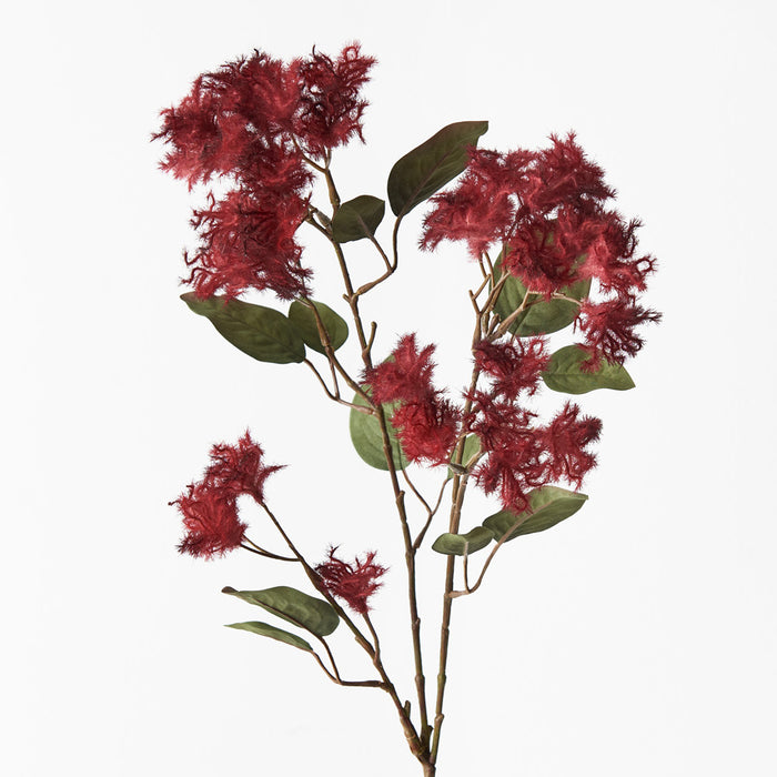 Smoke Bush Spray Red 74cm Pack of 12