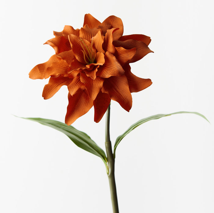 Roselily Rust Orange 62cm Pack of 12