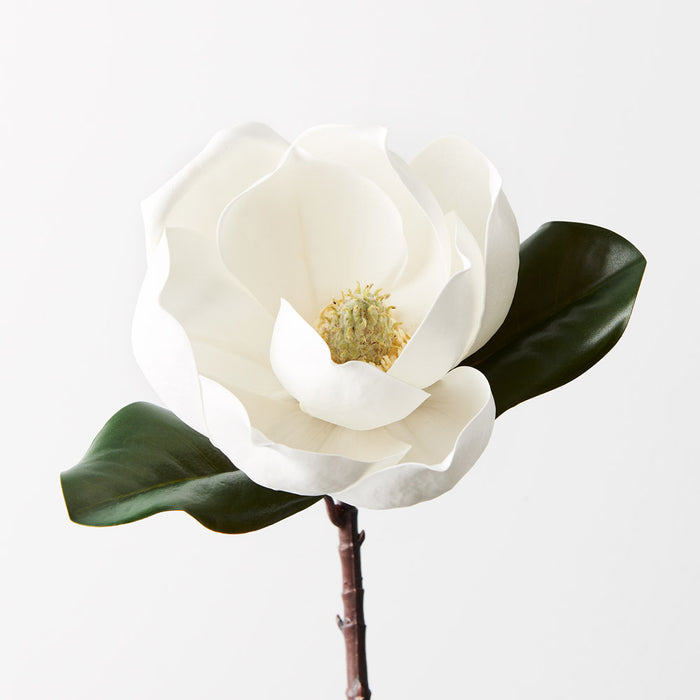 Magnolia White 35cm Pack of 12