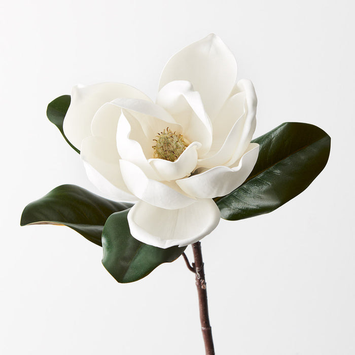Magnolia White 73cm Pack of 12