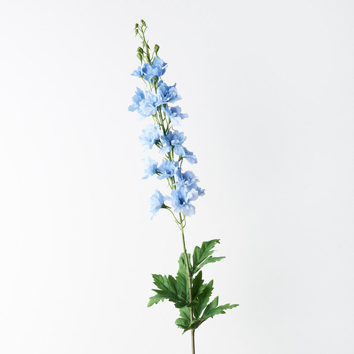 Delphinium Light Blue 90cm Pack of 12