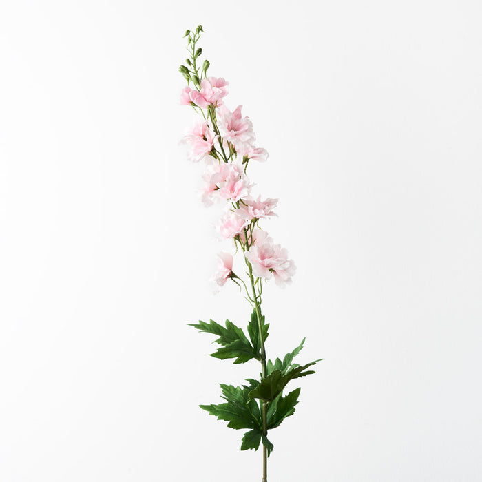 Delphinium Light Pink 90cm Pack of 12