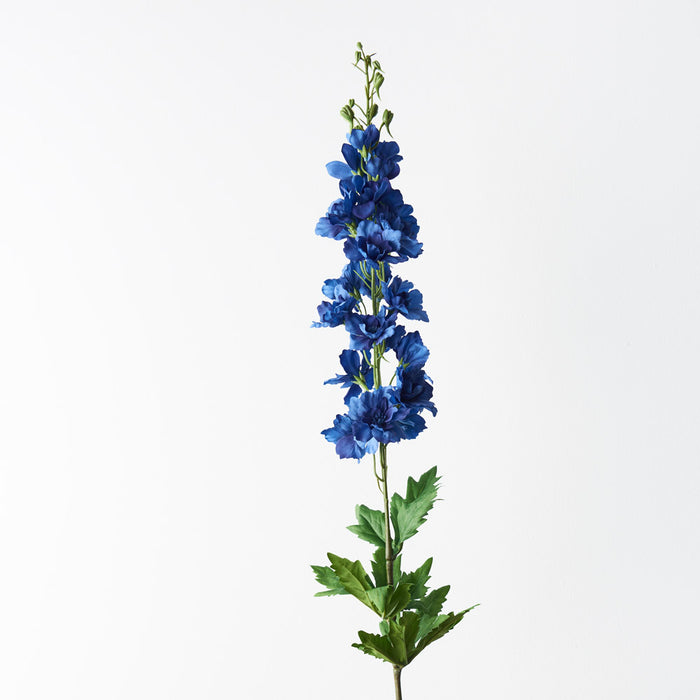 Delphinium Royal Blue 90cm Pack of 12